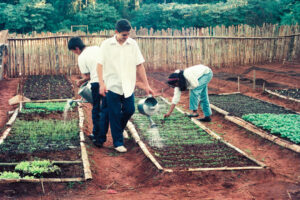 3 AUTOR, Fe y Alegria, Fe y Alegría < JESUITAS (OBRAS), huerta < agricultura, J.M.Blanch, JESUITAS (OBRAS), Neg Color 35 mm, TRABAJO, WEB < Pueblos de las Reducciones 2 SOPORTE ORIGINAL, 3 AUTOR, Centros, EDUCACION FORMAL, Fe y Alegria, Fe y Alegría, J.M.Blanch, JESUITAS (OBRAS), Neg Color 35 mm, Pueblos de las Reducciones, TRABAJO, TRABAJO Y ARTESANIA, WEB, agricultura, huerta