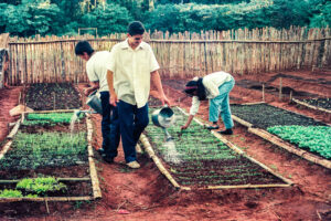 3 AUTOR, Fe y Alegria, Fe y Alegría < JESUITAS (OBRAS), huerta < agricultura, J.M.Blanch, JESUITAS (OBRAS), Neg Color 35 mm, TRABAJO, WEB < Pueblos de las Reducciones 2 SOPORTE ORIGINAL, 3 AUTOR, Centros, EDUCACION FORMAL, Fe y Alegria, Fe y Alegría, J.M.Blanch, JESUITAS (OBRAS), Neg Color 35 mm, Pueblos de las Reducciones, TRABAJO, TRABAJO Y ARTESANIA, WEB, agricultura, huerta